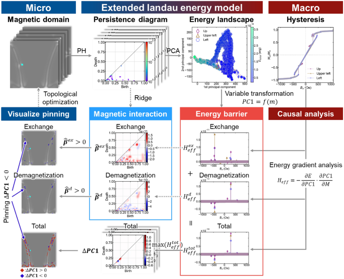 Causal analysis and visualization of magnetization reversal using feature  extended landau free energy | Scientific Reports