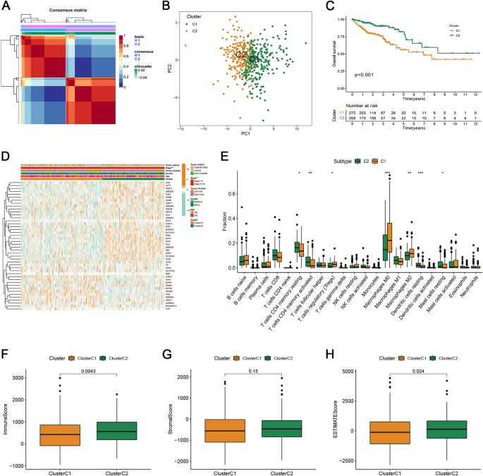 Identification of cuproptosis-related subtypes and development of a prognostic signature in colorectal cancer | Scientific Reports