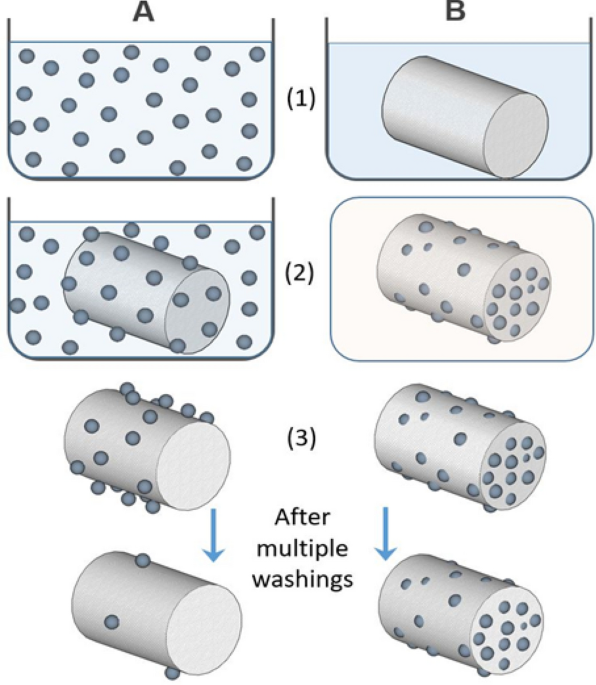 Highly efficient and durable antimicrobial nanocomposite textiles | Scientific Reports