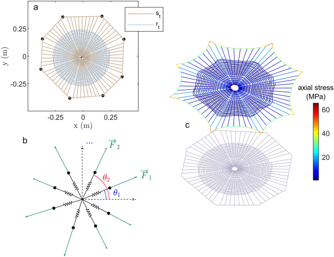 Spider that uses its web to expand its hearing capabilities (Update)