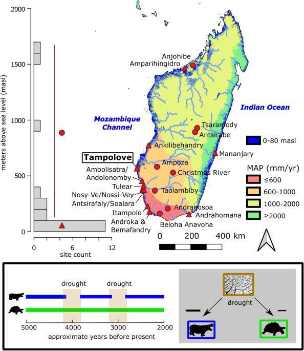 Cutmarked bone of drought-tolerant extinct megafauna deposited with traces of fire, human foraging, and introduced animals in SW Madagascar | Scientific Reports - Nature.com