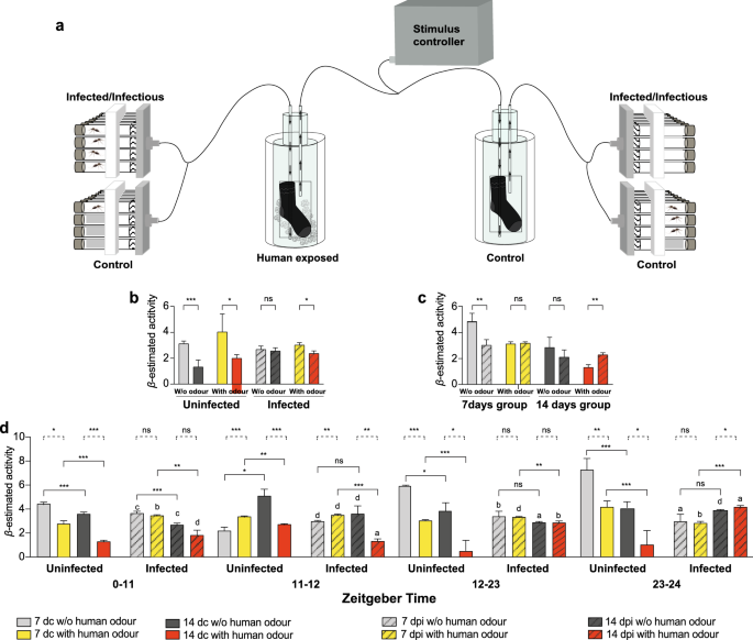 Mosquito host-seeking diel rhythm and chemosensory gene expression is affected by age and plasmodium stages
