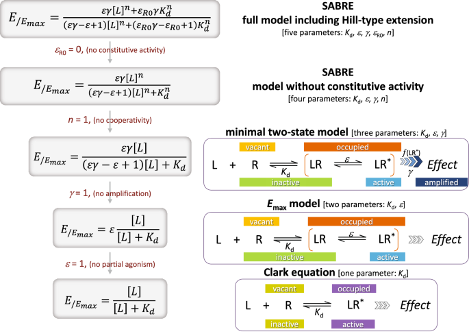 Quantification of receptor binding from response data obtained at different receptor levels: a simple individual sigmoid fitting and a unified SABRE approach | Scientific Reports