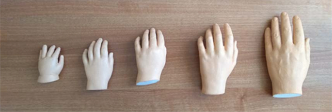 The role of hand size in body representation: a developmental investigation