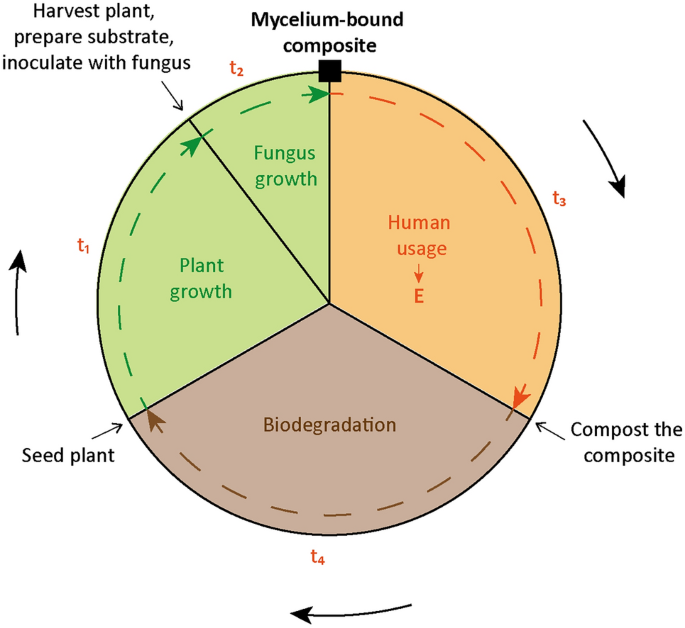 Do Plastics Derived from Soy Beans Exhibit Different Properties to