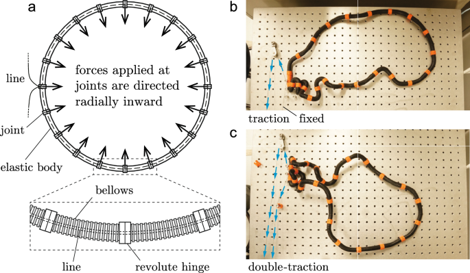 Robust estimation of vertical symmetry axis models via joint