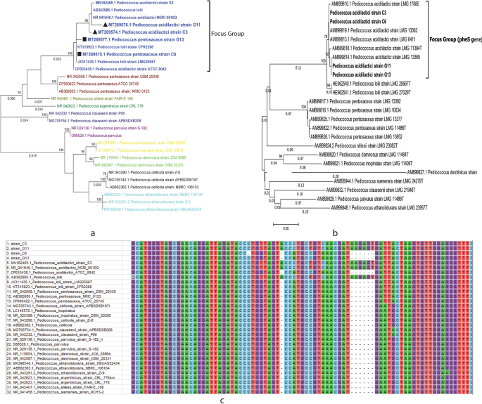 Genomic analysis and in vivo efficacy of Pediococcus acidilactici as a potential probiotic to prevent hyperglycemia, hypercholesterolemia and gastrointestinal infections