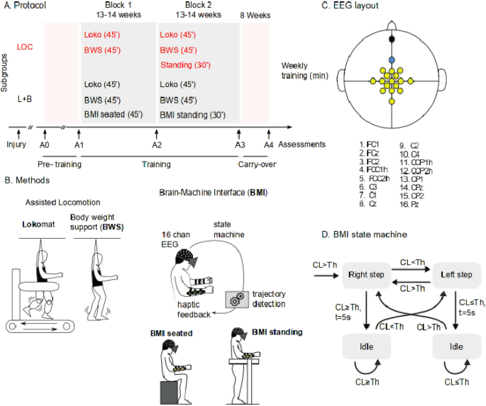 Training with noninvasive brain–machine interface, tactile feedback, and locomotion to enhance neurological recovery in individuals with complete paraplegia: a randomized pilot study
