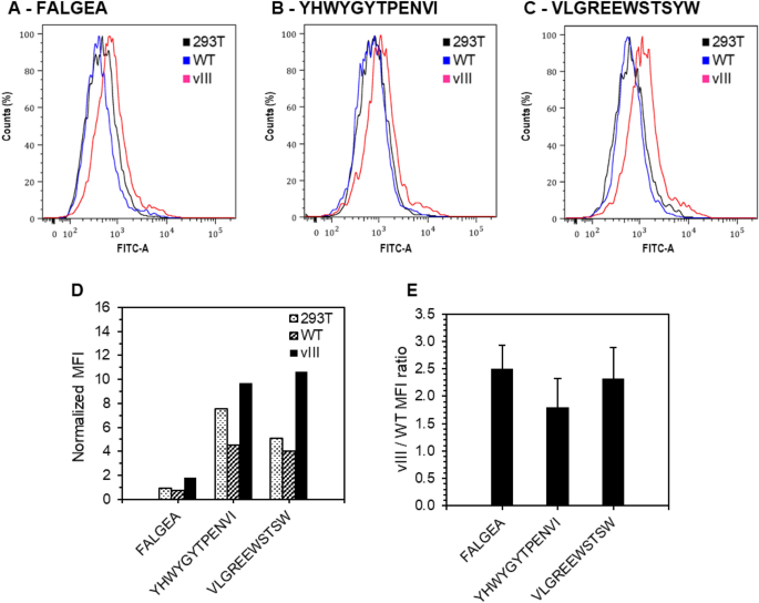 Identification of a novel peptide ligand for the cancer-specific receptor  mutation EGFRvIII using high-throughput sequencing of phage-selected  peptides