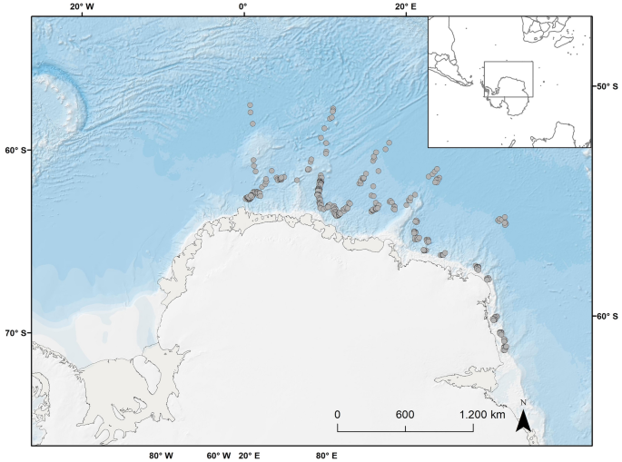 Whale Lice : Uncovering the Hidden World of Marine Externals