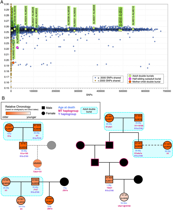 Genomic transformation and social organization during the Copper