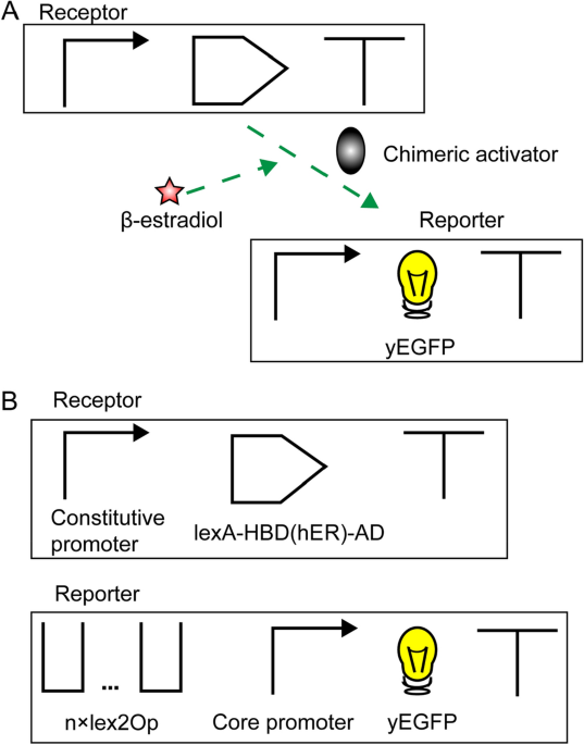 feature-image