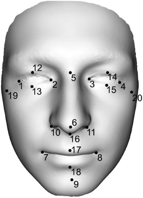 In the pursuit of enhanced facial contour, evaluation of the face shape is  crucial to determine areas of the aging face that require enha