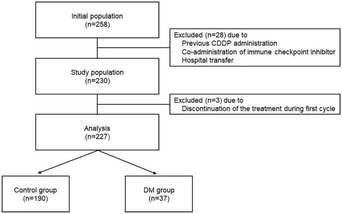 Diabetes mellitus degenerates cisplatin-induced nephrotoxicity in short hydration method: a propensity score-matching analysis
