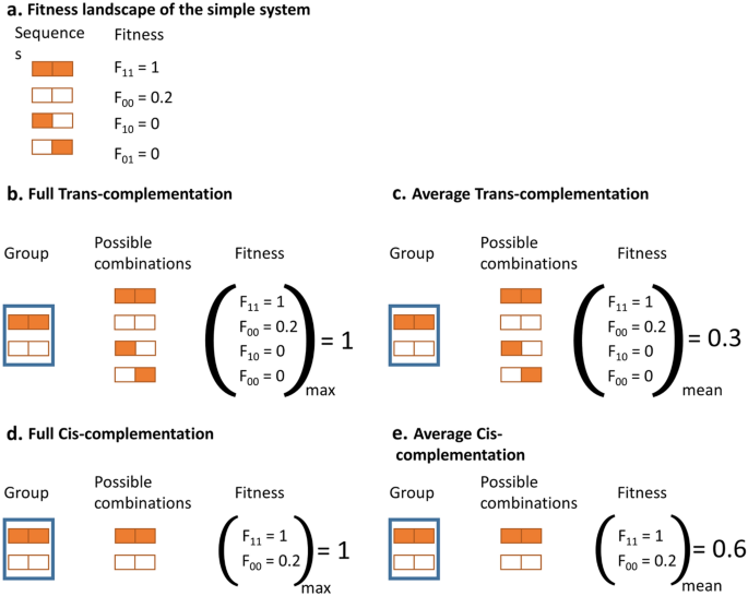 Genetic complementation fosters evolvability in complex fitness ... - Nature.com