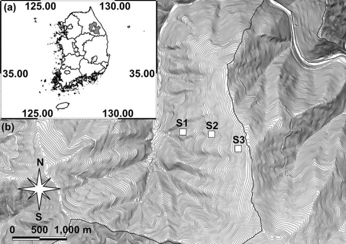 Variations in home range and core area of red-backed voles (Myodes regulus) in response to various ecological factors