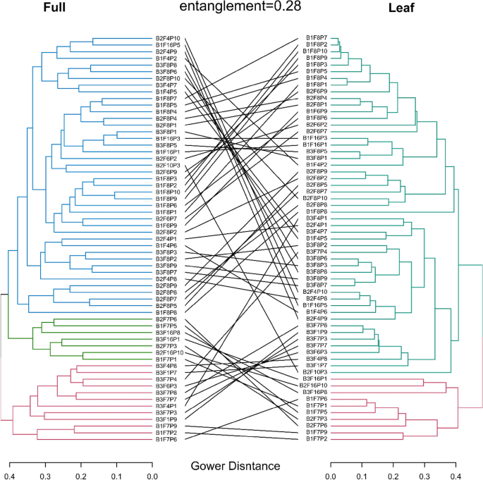 Methodological approach to indigenous fruit trees breeding: case