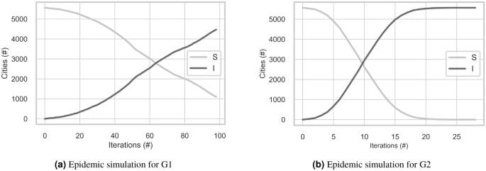 The impact of Brazil's transport network on the spread of COVID-19