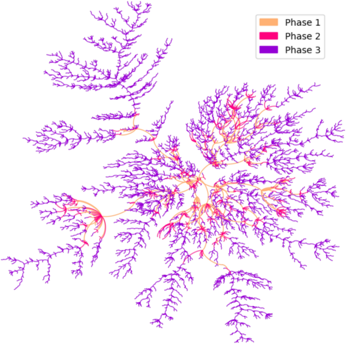 The impact of Brazil's transport network on the spread of COVID-19