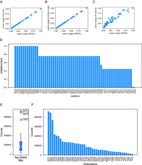 Codon optimality has minimal effect on determining translation efficiency in mycobacterium tuberculosis