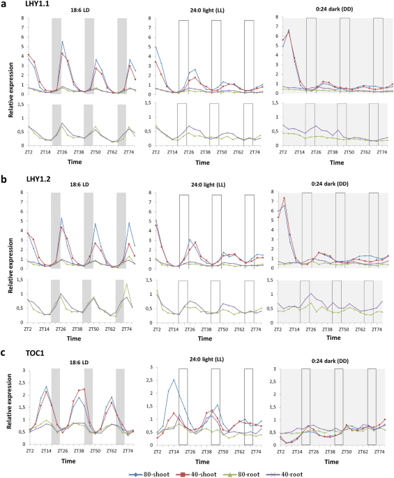 Limited water stress modulates expression of circadian clock genes ... - Nature.com