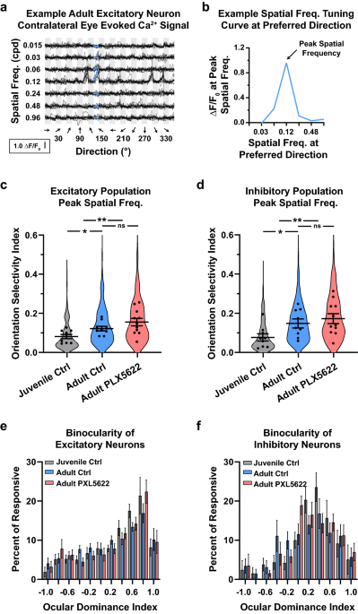 Publisher correction: juvenile depletion of microglia reduces orientation but not high spatial frequency selectivity in mouse v1