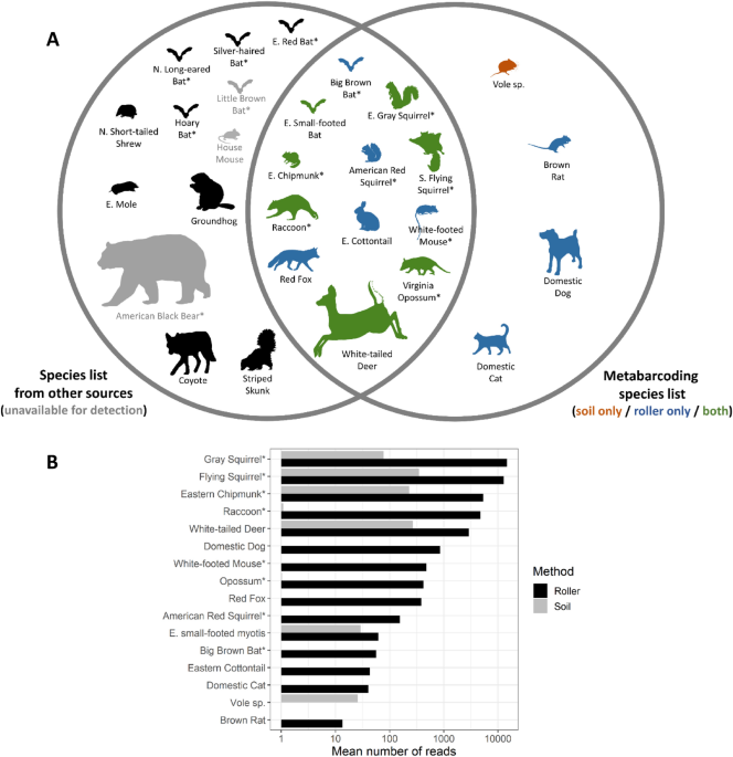 Sampling environmental dna from trees and soil to detect cryptic arboreal mammals