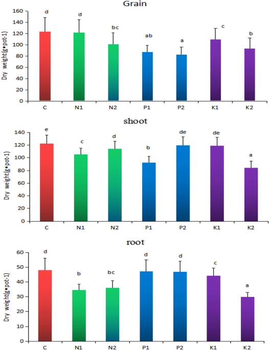 Effect of different application proportions of rice straw and