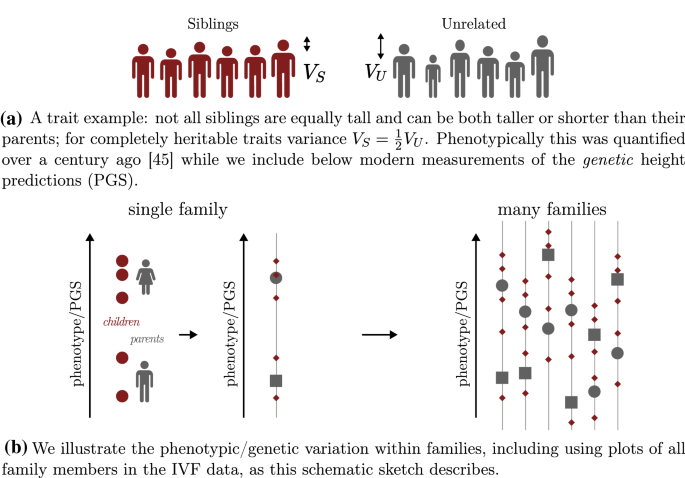 Sibling variation in polygenic traits and DNA recombination 