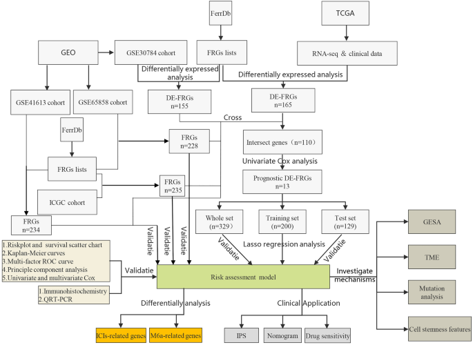 A ferroptosis-related prognostic model with excellent clinical performance based on the exploration of the mechanism of oral squamous cell carcinoma progression