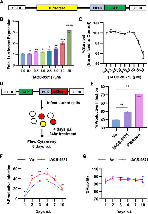 Inhibition of the trim24 bromodomain reactivates latent hiv-1