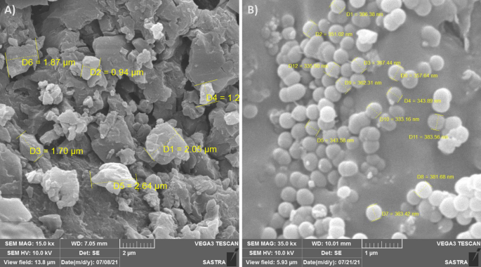 https://media.springernature.com/m685/springer-static/image/art%3A10.1038%2Fs41598-023-28033-0/MediaObjects/41598_2023_28033_Fig1_HTML.png