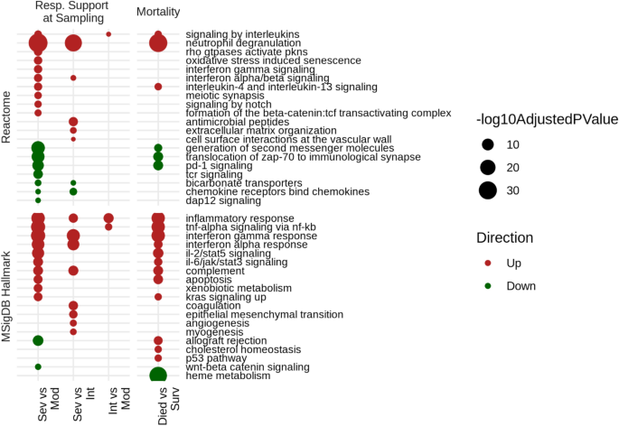 Predicting severity in COVID-19 disease using sepsis blood gene expression signatures