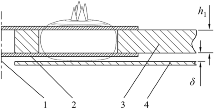 Design and experiment of a combined peeling machine for water chestnut