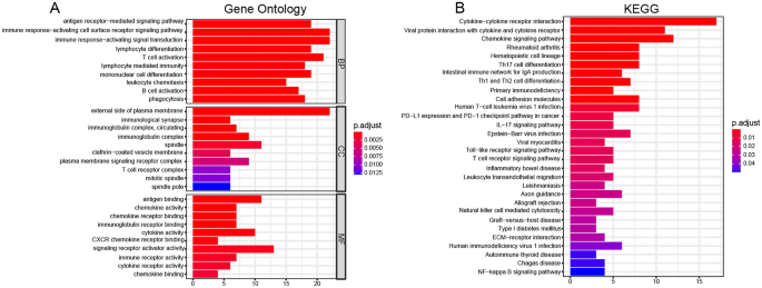 Identification of essential genes and immune cell infiltration in ... - Nature