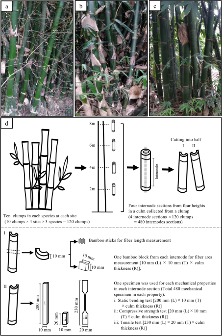 Bamboo node effect on the tensile properties of side press