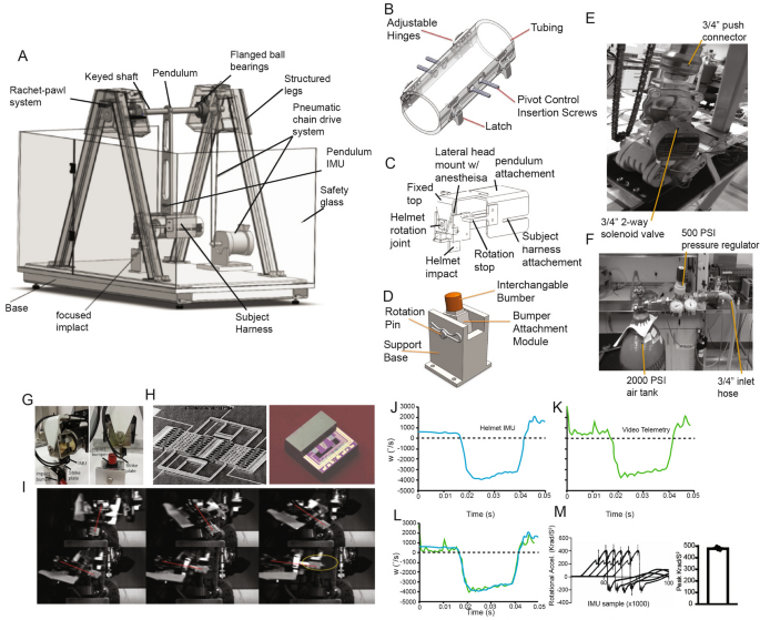 Cdk5 mediates rotational force-induced brain injury | Scientific Reports - Nature.com