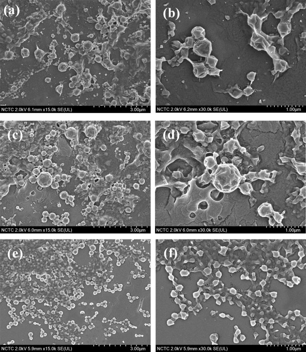 Preparation of Water-Based Alkyl Ketene Dimer (AKD) Nanoparticles and Their  Use in Superhydrophobic Treatments of Value-Added Teakwood Products