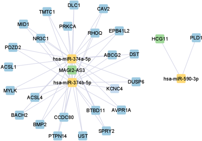 Integrative competing endogenous rna network analyses identify novel lncrna and genes implicated in metastatic breast cancer