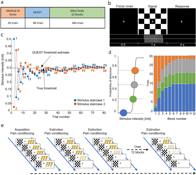 A novel computational approach to pain perception modelling within 