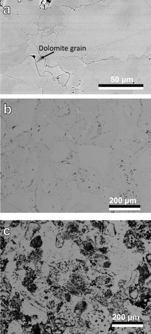 Solved A sample of dolomite was analysed for its CaCO3