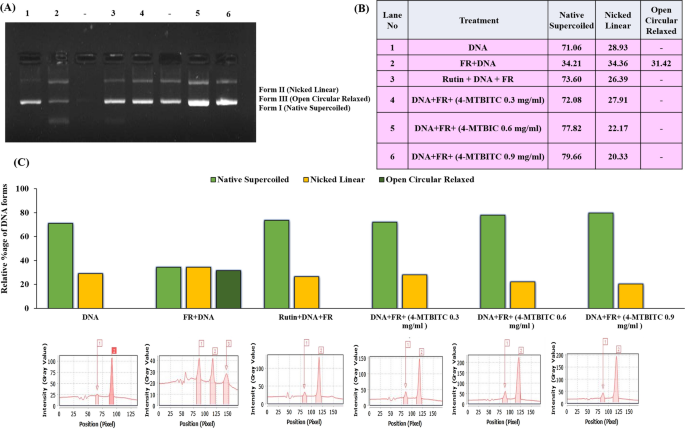 Neuromodulatory effect of 4-(methylthio)butyl isothiocyanate against 3-nitropropionic acid induced oxidative impairments in human dopaminergic sh-sy5y