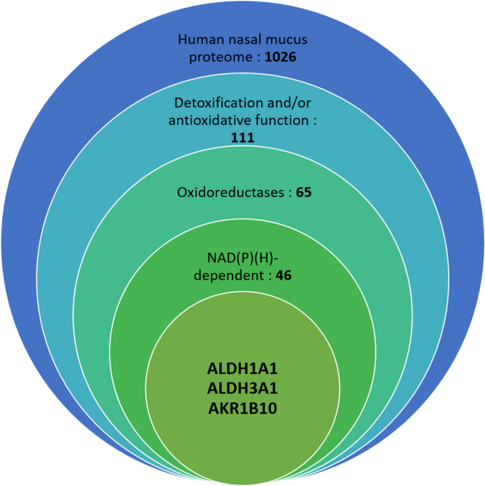 Characterization of human oxidoreductases involved in aldehyde odorant metabolism