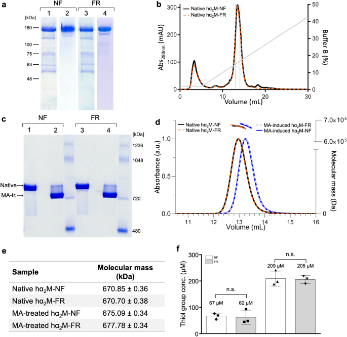 Cryo-EM structures show the mechanistic basis of pan-peptidase inhibition  by human α2-macroglobulin