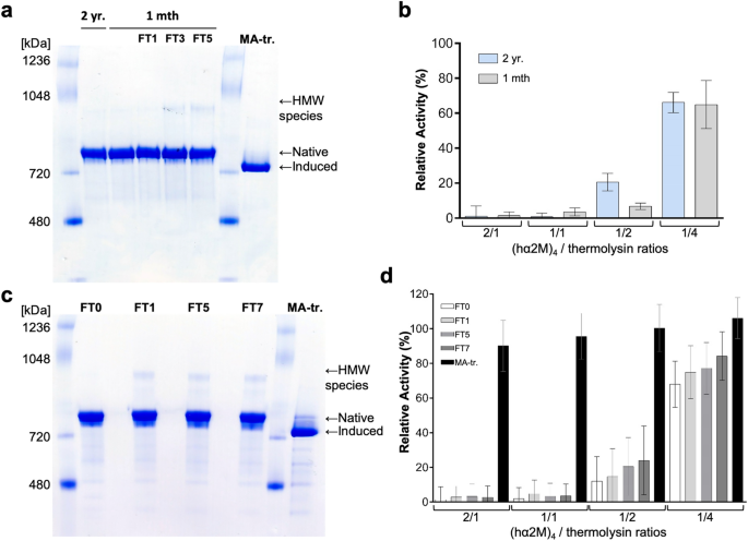 Cryo-EM structures show the mechanistic basis of pan-peptidase inhibition  by human α2-macroglobulin