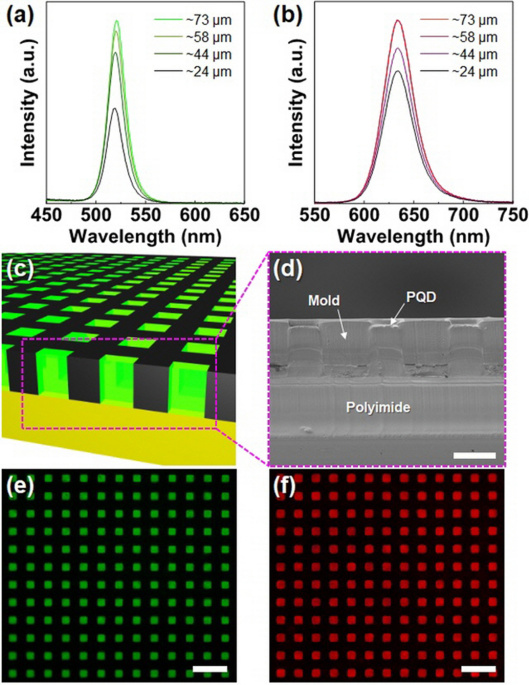 Full-color micro-LED display with photo-patternable and highly  ambient-stable perovskite quantum dot/siloxane composite as color conversion  layers