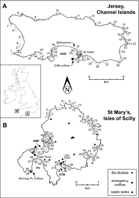 Diffuse and concentrated nitrogen sewage pollution in island ... - Nature.com