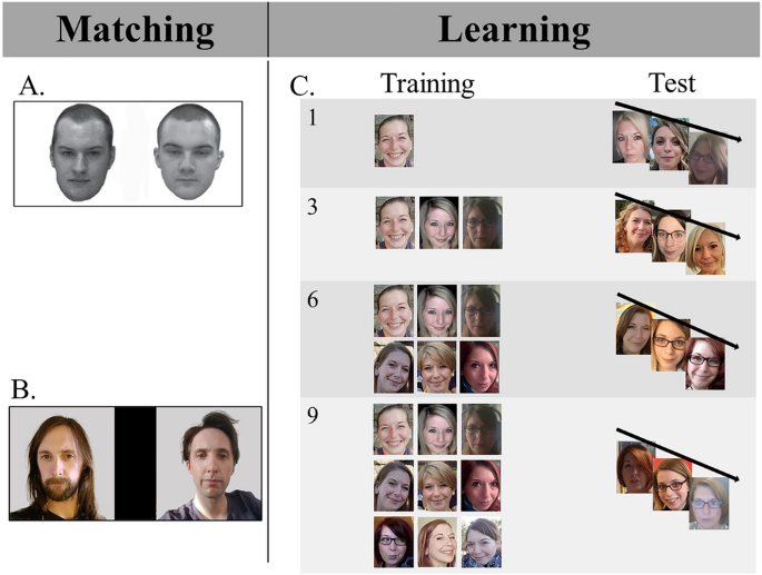 Unfamiliar face matching ability predicts the slope of face learning |  Scientific Reports