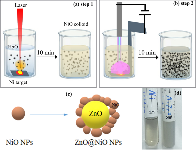 A novel method for ZnO@NiO core–shell nanoparticle synthesis ... - Nature.com