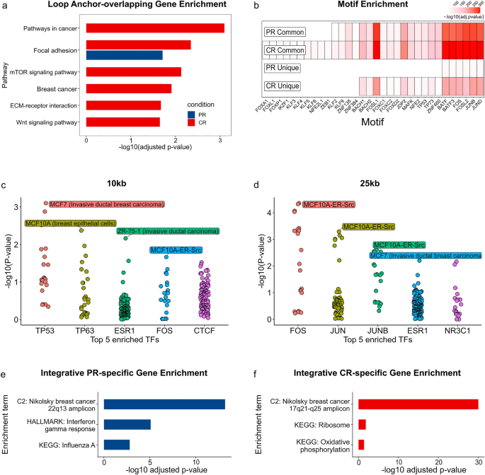 Rewiring of the 3D genome during acquisition of carboplatin resistance in a  triple-negative breast cancer patient-derived xenograft